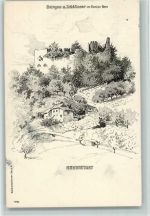 La Neuveville 1908 Burgen und Schlösser im Kanton Bern Neuenstadt