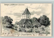 9200 Geretschwil Künstlerkarte 1907 Burgen und Schlösser im Kanton Bern Schloss