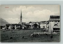Zuoz Kühe