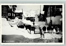 Sedrun Dorfidyll Schafe Winter