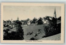 9633 Hemberg - Kühe