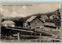 9633 Hemberg - 1913 Gasthaus und Bad zur Traube