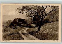 9425 Thal Gebrauchsspuren Frühlingsstudie