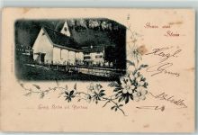 9655 Stein SG 1900 - Evange. Kirche und Pfarrhaus