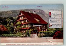 6410 Goldau - Altes Bauernhaus aus der Zeit vor dem Goldauer Bergsturz mit Inschriften und Wappen Rigi-Kulm