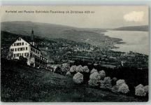8835 Feusisberg 1915 - Kurhotel Pension Schönfels Zürichberg