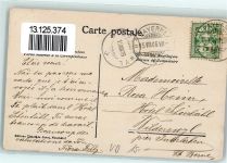 Payerne 1906 Wiesenblumen