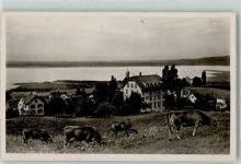 9405 Wienacht-Tobel - Gasthaus Schönheim und Kurhaus Alpenblick Kühe