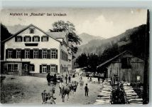 Urnäsch Alpfahrt im Rossfall Kühe