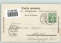Mollis 1904