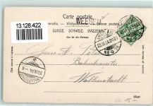 Mollis 1904