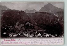 Mollis 1910