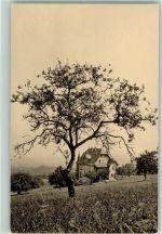 4133 Pratteln - Schönenberg