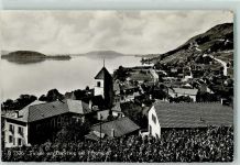 Twann Bielersee mit Petersinsel