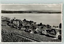 Twann Alpen Weinberge