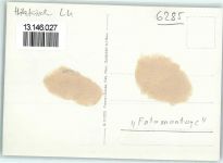Hitzkirch Fotomontage Patent 1945