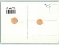 9602 Bazenheid Gebrauchsspuren Fliegeraufnahme