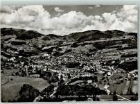 Wald ZH Fliegeraufnahme
