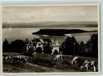 2515 Prêles FOTO KEINE AK Kühe Ort handschriftlich