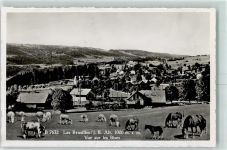 Les Reussilles Vue sur les Bises Pferde Kühe