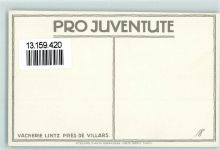 Bern Vacherie lintz pres de villars sign E. E. Schlatter
