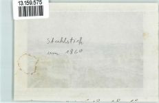 Zürich Stahlstich um 1860