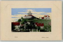 Uster 1913 Passepartout AK