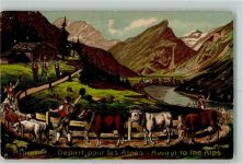 1916 Prägedruck Away to the Alps Kühe AK
