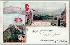 9507 Stettfurt Künstlerkarte Schloss Sonnenberg sign P. Vielse