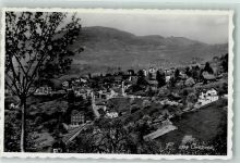 Chernex