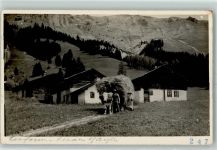 Ochsenkarre Heuernte