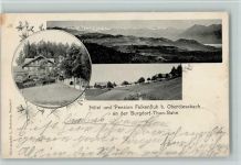 Oberdiessbach 1902 Hotel Falkenfluh AK