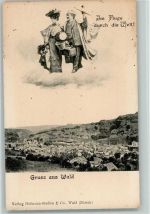 Wald ZH Paar Reisegepäck Wolke