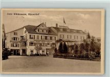 Männedorf 1915 Hotel Wildenmann