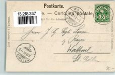 Wald ZH 1901 Gasthaus Pooalp Kühe