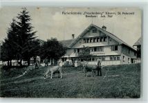 9127 St. Peterzell - Ferienkolonie Freudenberg auf Käsern Kühe