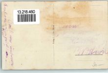 9127 St. Peterzell - Ferienkolonie Freudenberg auf Käsern Kühe