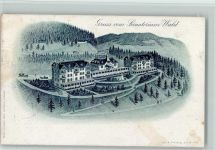 Wald ZH 1899 Sanatorium