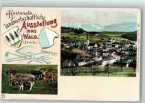 Wald ZH 1900 Kantonale landwirtschaftliche Ausstellung Kühe