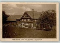 9633 Hemberg Foto AK Privat-Pension Reich Matt