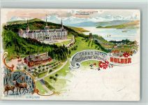 8000 Zürich Lithographie Grand Hotel Waldhaus 1899