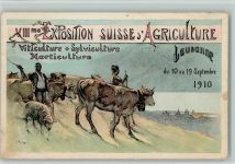Lausanne Agriculture Kühe Hirten