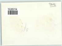 3416 Affoltern im Emmental KEINE AK Gasthof zum Löwen