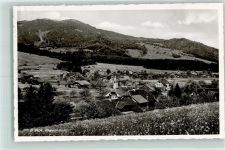 Blumenstein