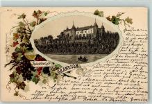 Grandson 1900 Weinreben