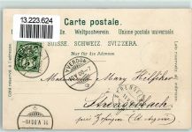 Grandson 1900 Weinreben