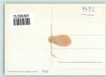 9472 Grabs Gebrauchsspuren Fliegeraufnahme