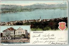 8820 Wädenswil 1902 - Gasthof Zum Engel Hoel del Ange