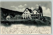 8810 Horgen 1902 - Bocken