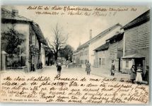 Gingins 1903